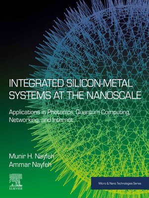 cover image of Integrated Silicon-Metal Systems at the Nanoscale